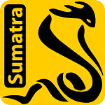 Sumatra PDF logo