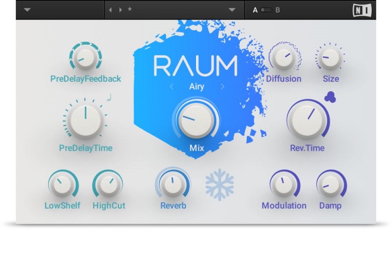 Native Instruments Raum