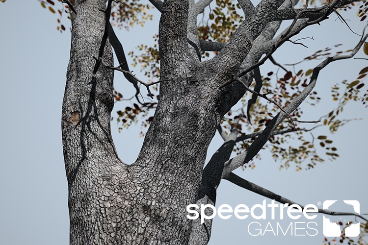 SpeedTree Games